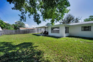 Backyard3