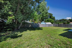 Backyard5