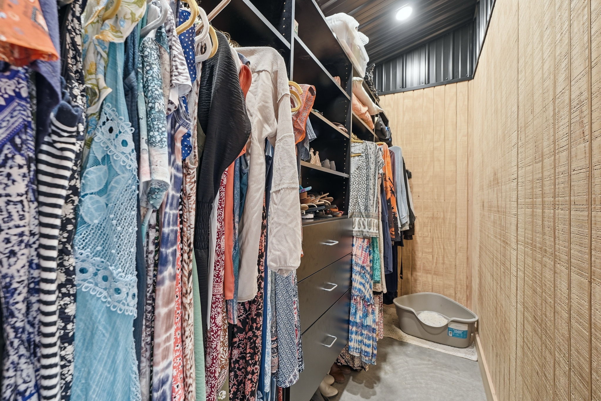  Photo 41