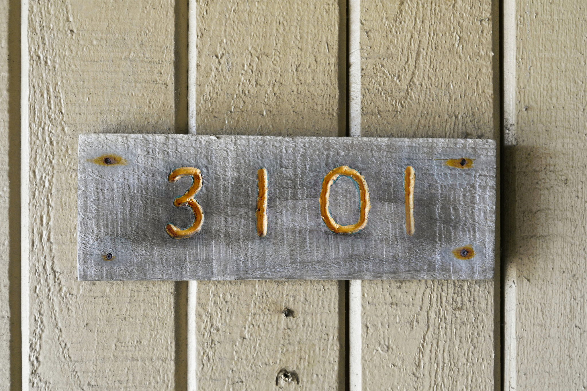 Unit 3101