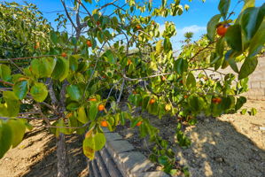 049_F8_18660 E Cavendish Dr