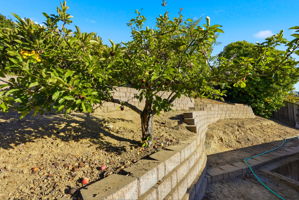 053_F8_18660 E Cavendish Dr