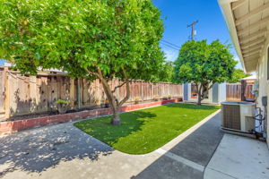 E-Z Care Back Yard!