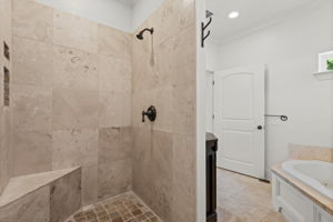 Master Bath shower.
