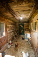  Photo 49