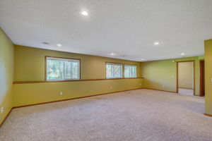 Basement/Living Roome