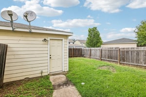 Imperial Eagle Ln-S1806-045.jpg