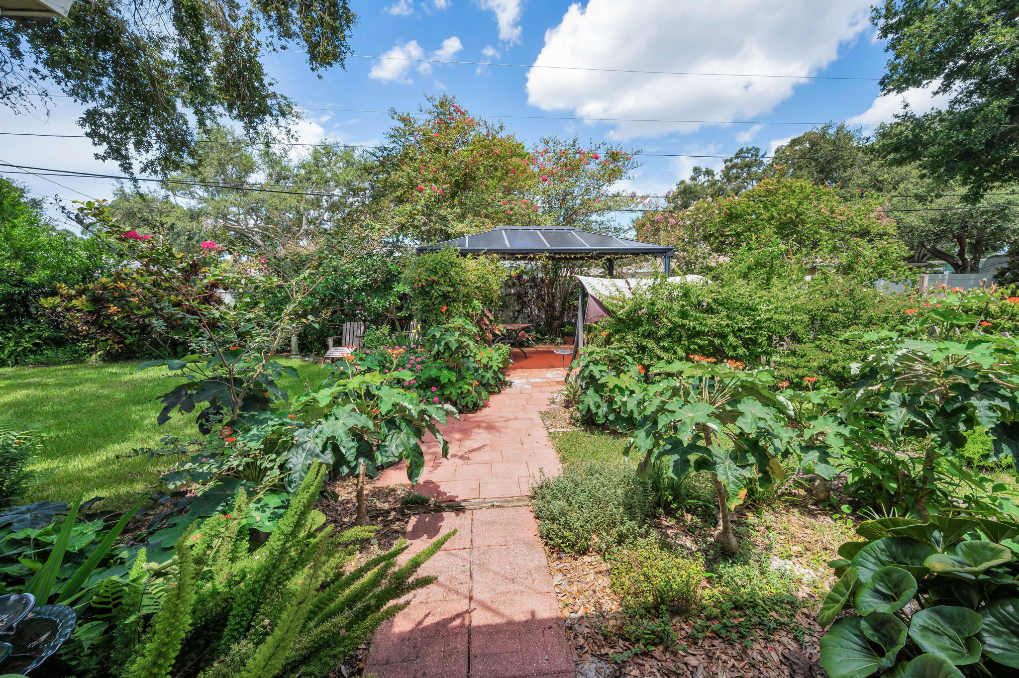 Backyard1