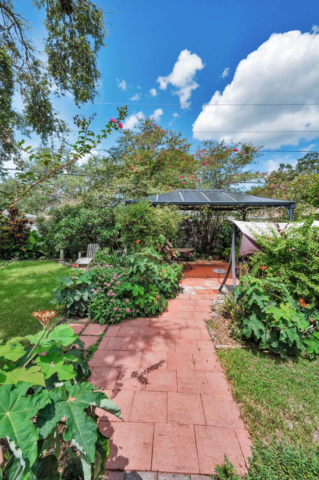 Backyard2