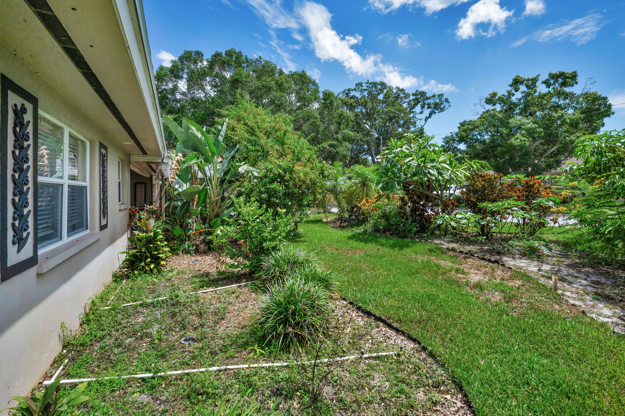 Frontyard1