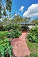 Backyard2