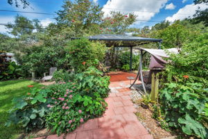Backyard3