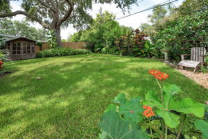 Backyard4