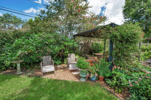 Backyard6