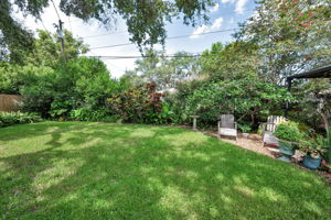Backyard7