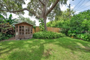 Backyard8