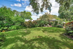 Backyard11