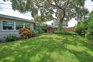 Backyard14