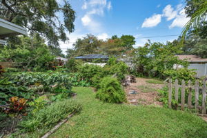 Backyard15