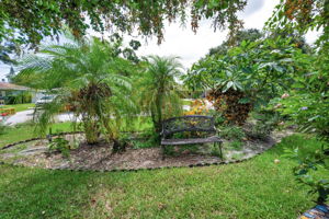 Frontyard2