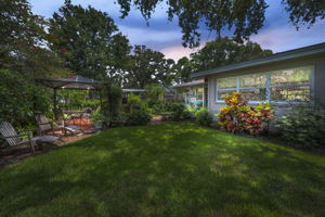 Backyard13