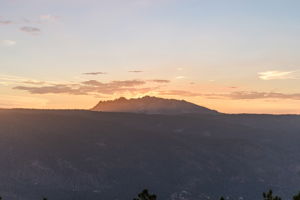  Photo 100