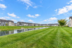 Pond view