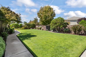 Beautiful large private backyard