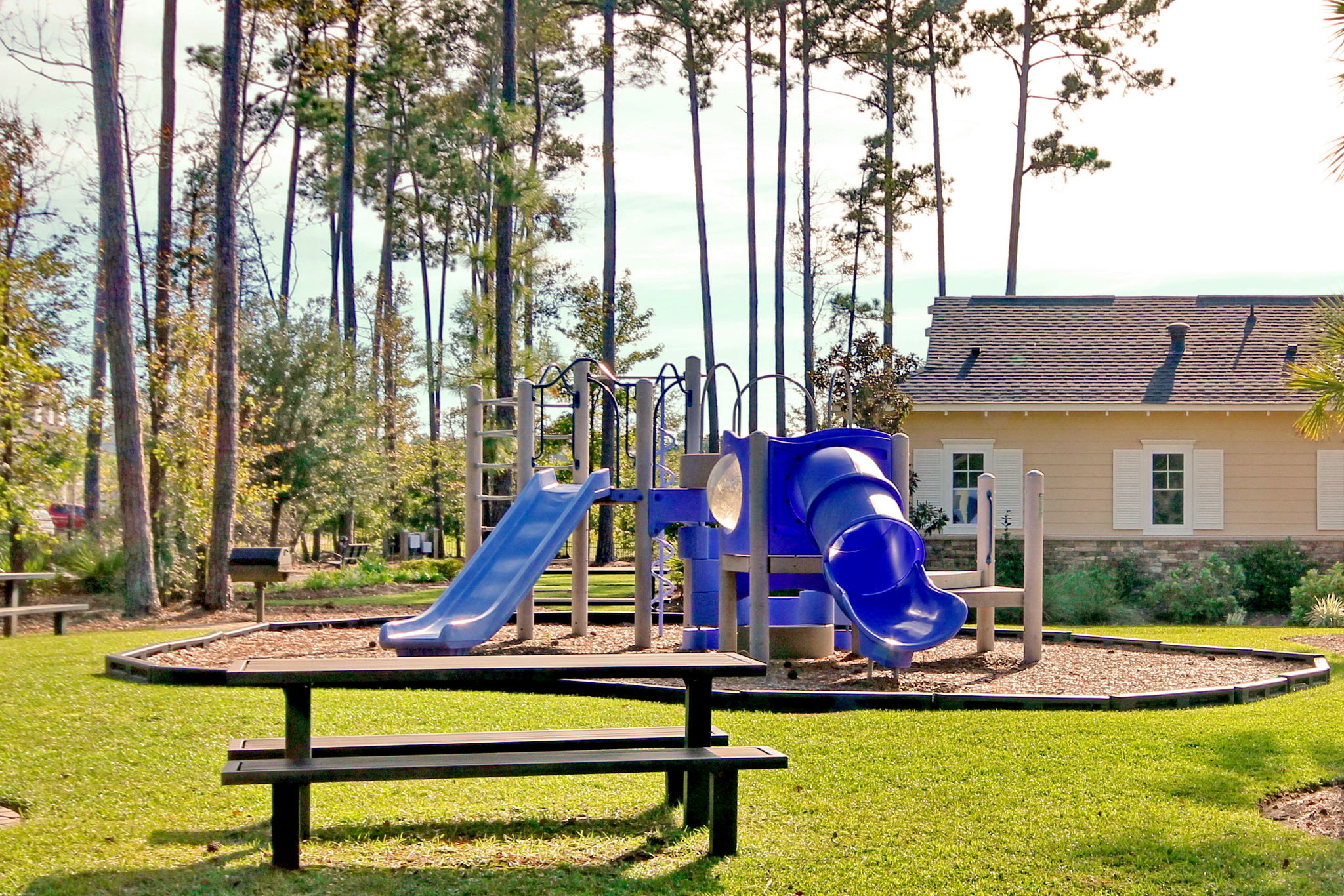  Photo 45
