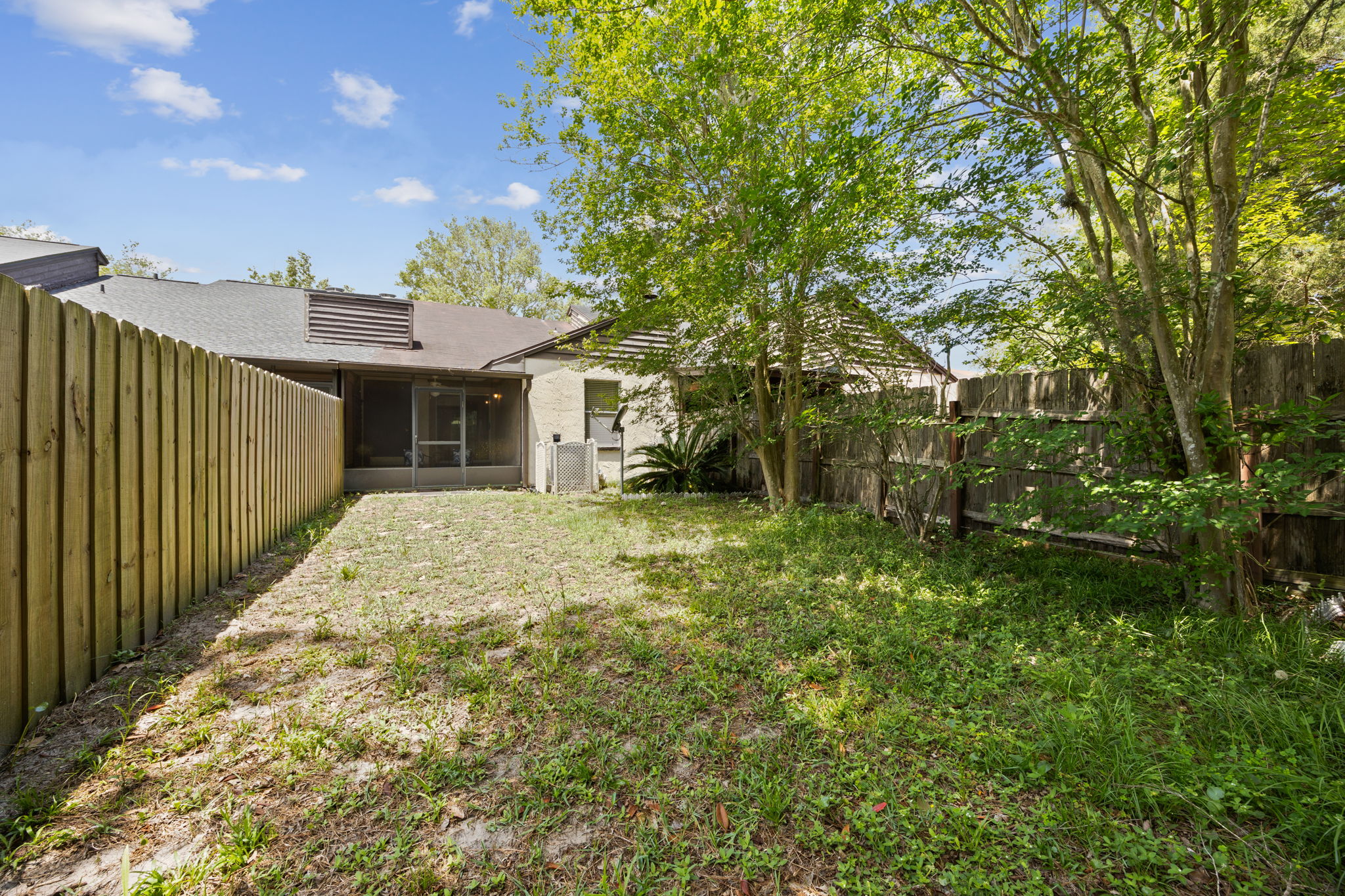 Backyard