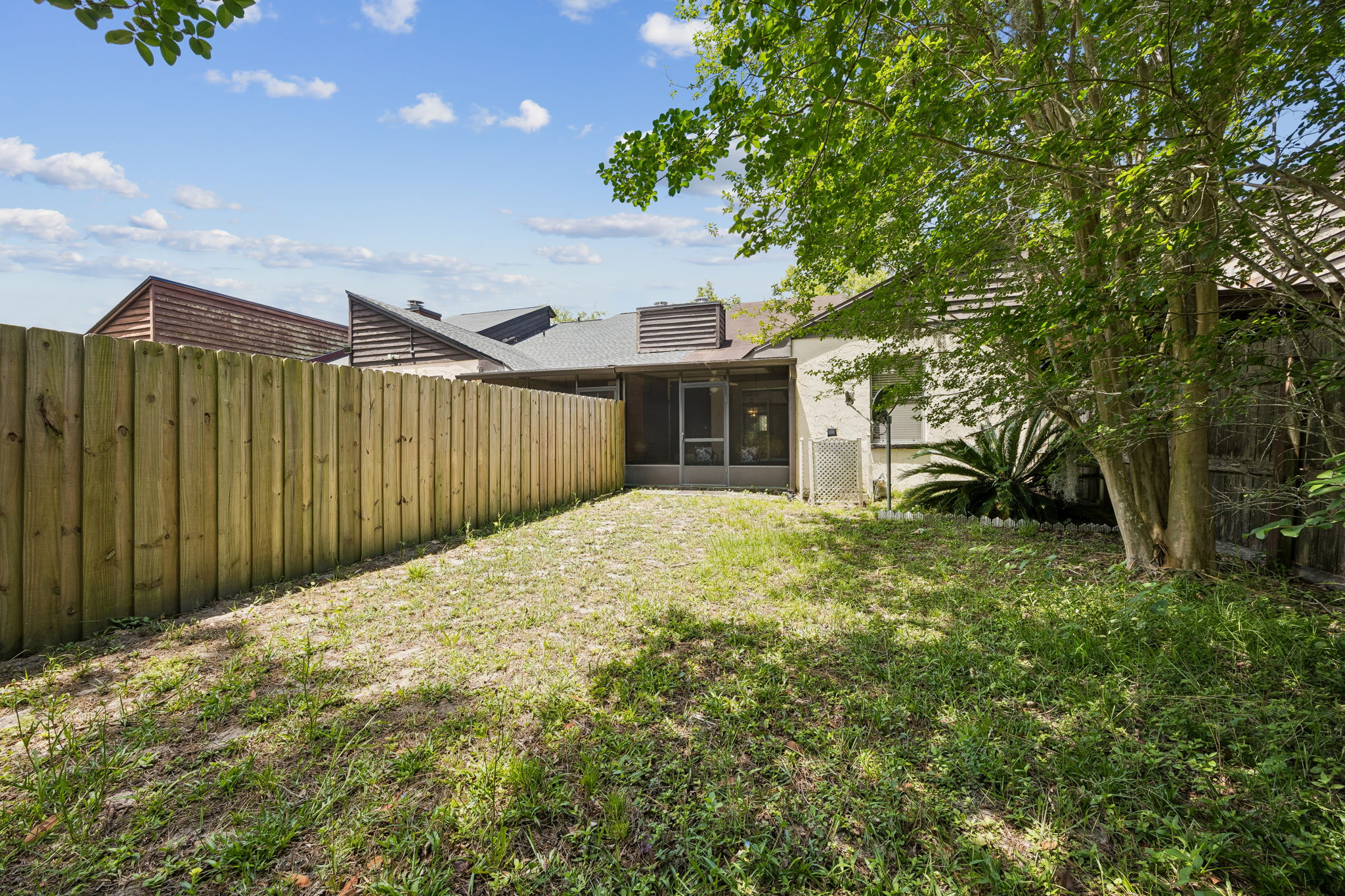Backyard
