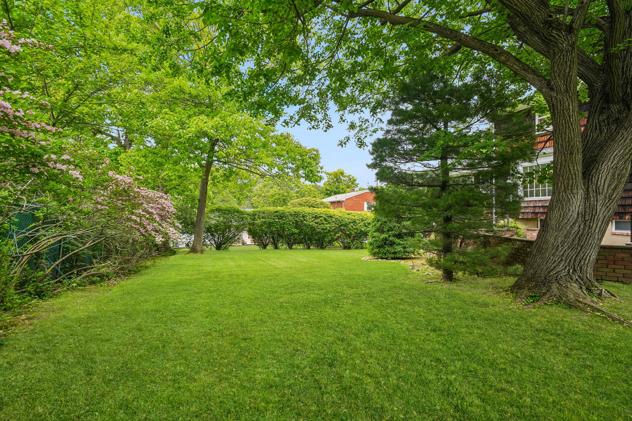 IMG05834.jpg