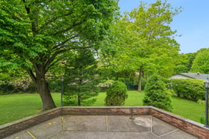 IMG05799.jpg