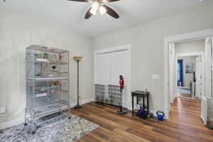  Photo 42