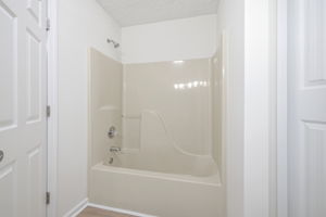 Image-19