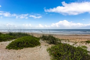 Sea Hammock