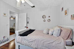  Photo 43