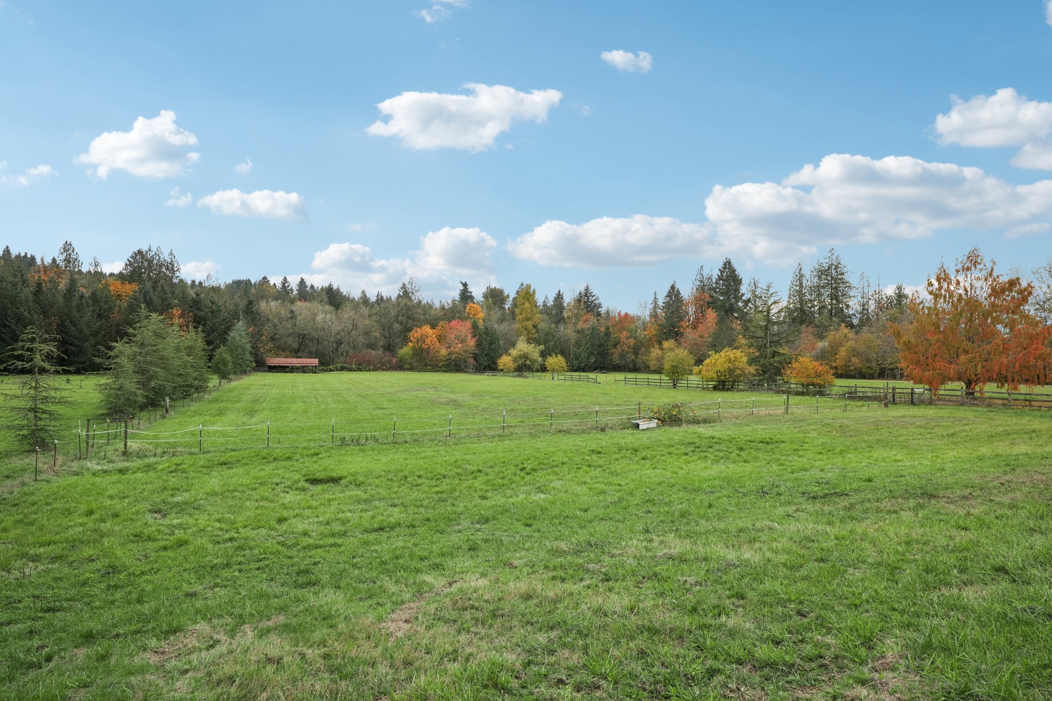 NE Risto Rd-S0111-053.jpg