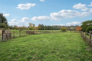 NE Risto Rd-S0111-051.jpg