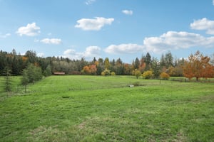 NE Risto Rd-S0111-053.jpg