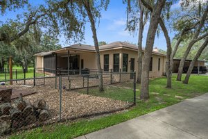 Backyard fenced for doggies