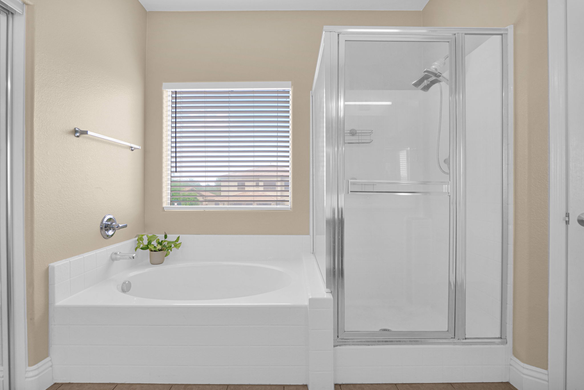 Primary Bathtub & Shower
