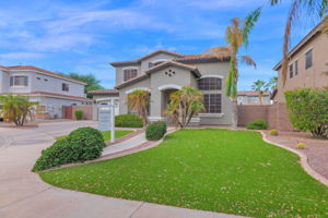 New Turf Front Yard