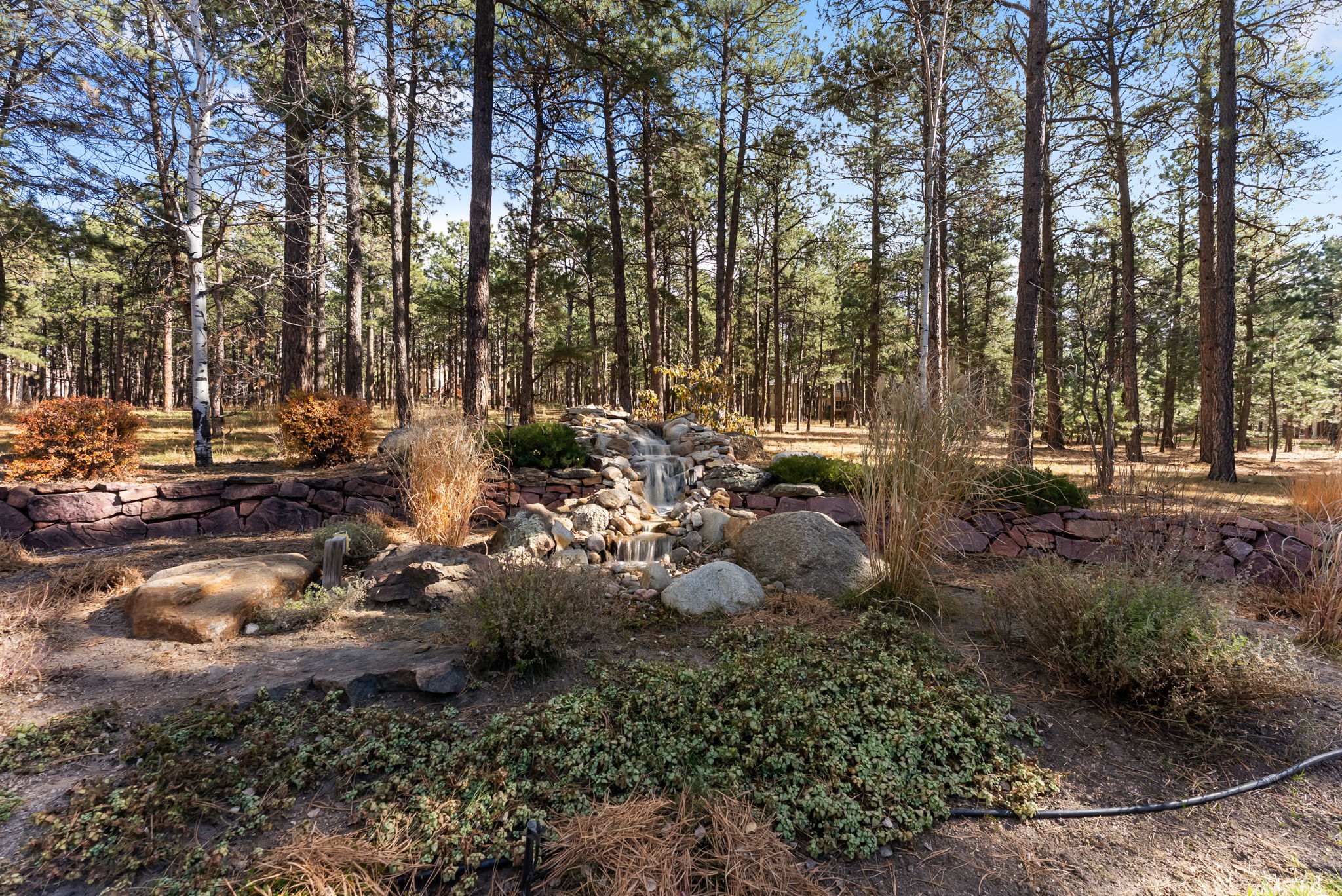 44-web-or-mls-DSC06744