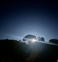  Photo 49