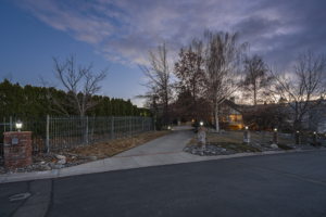  Photo 0
