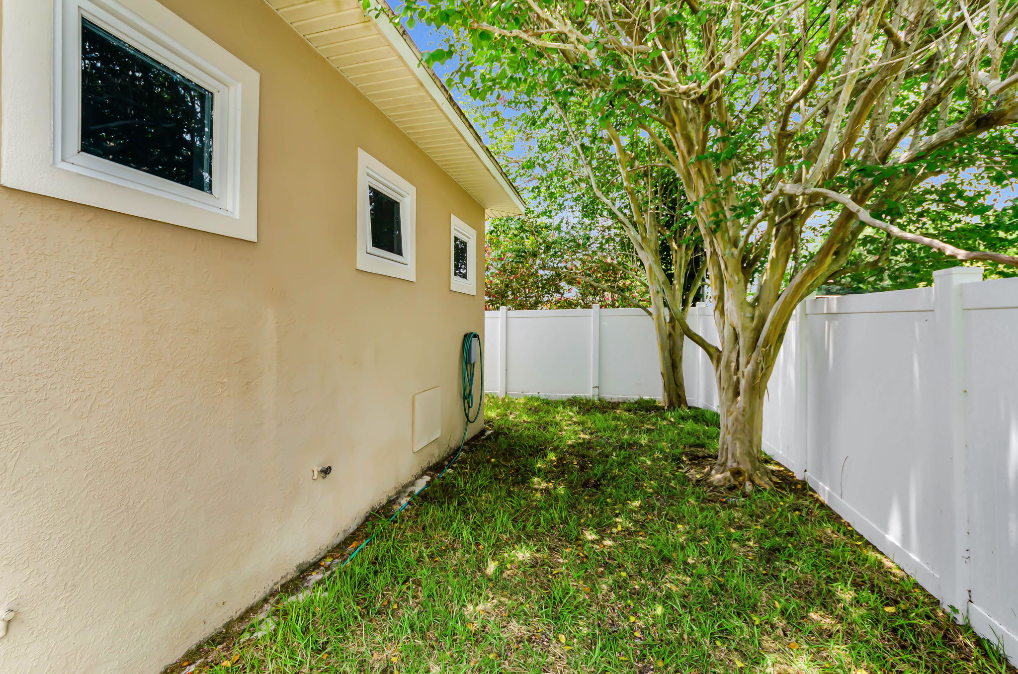 Backyard24