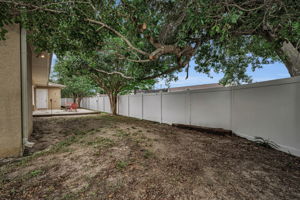 Backyard 2