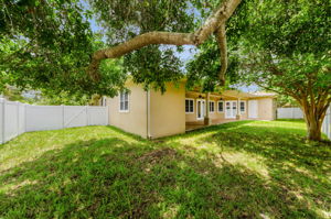 Backyard21