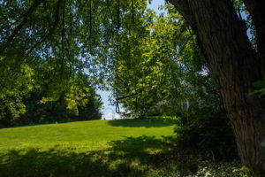  Photo 64